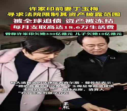 真假许家印前妻被全球追债,曾称许家印欠她300多亿