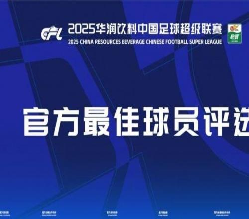中超第19轮最佳候选：费利佩、亚戈、拉布亚德、内内、戴维森入围