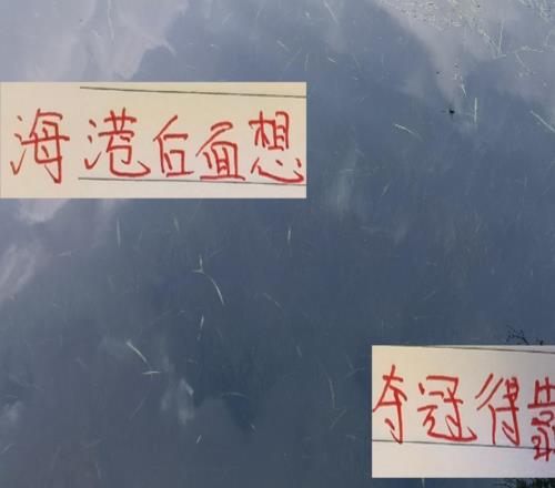 從ICU到KTV的感覺海港輸球反勝第3名后面能否奪冠就看運(yùn)氣了