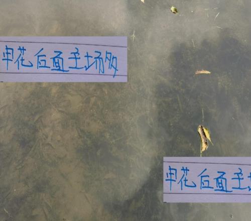 還剩下7輪！如果拼主場申花笑傲群雄就有5個奪冠能穩(wěn)嗎