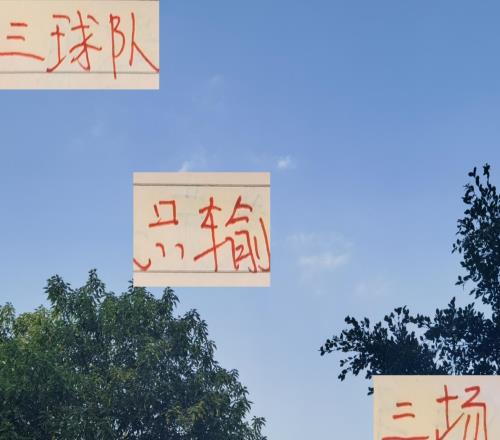 還剩七輪情況下！海港成都蓉城北京國安都是輸球最少的球隊