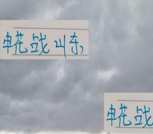 太脆了！申花戰(zhàn)山東巴西鋒線外援全受傷了