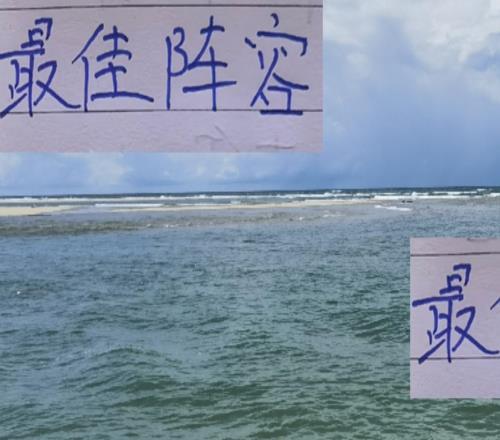不合理呀！8月最佳阵容海港一个球员都没进他们可是中超老二