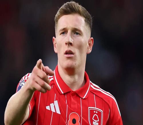 森林舊將：安德森絕對值1億鎊，他去哪支球隊都會有出色表現(xiàn)