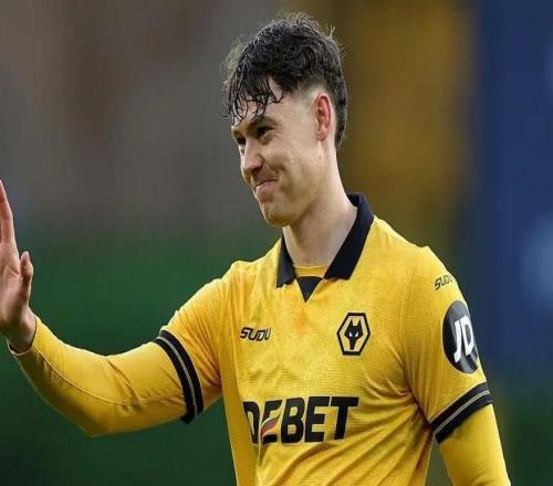 狼队主帅：如果拉森的转会对俱乐部有利，我们会看看情况