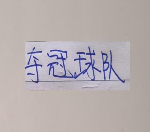 具備奪冠的球隊除了申花跟海港外可能還有大小綠北京國安浙江