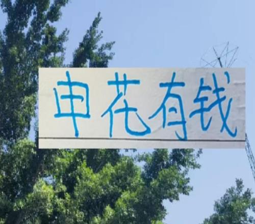 羨慕申花有錢！隔壁海港目前就租借一個非洲不知名后腰外援