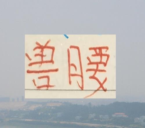 中超各隊新賽季魔獸海港找了非洲外援武漢找了阿德里亞諾