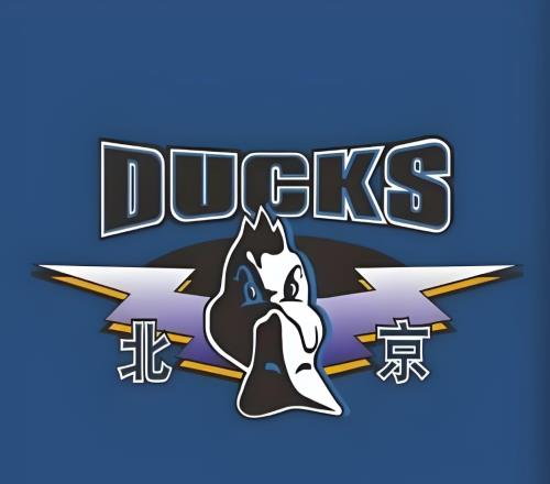 天價合同！北京隊曾給1球員開出了700萬美元的工資