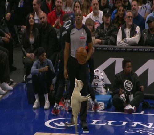 奧尼爾主持最后一期Shaqtin'，念錯7個名字成固定節(jié)目