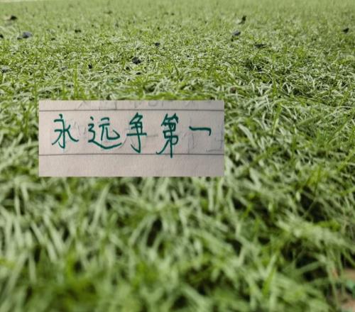 沒(méi)料到！今年北京國(guó)安最能跑的球員是塞鳥(niǎo)5月球隊(duì)逆襲還得靠他