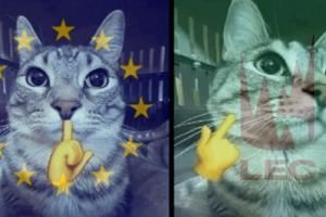 保底先鋒賽決賽LEC賽區(qū)連續(xù)兩年打入先鋒賽決賽