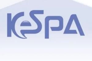 電競國家杯官網(wǎng)更新信息：韓國隊(duì)由Kespa擔(dān)任國家隊(duì)合作伙伴