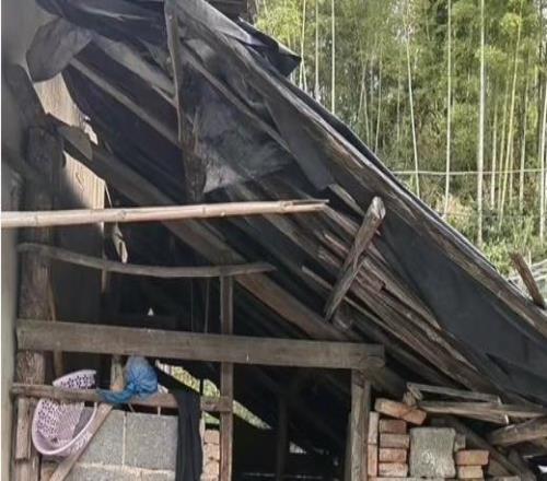 張雪機車奪冠七天后，他背后的女人，火了