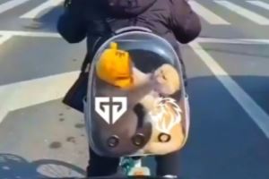 LYON發(fā)布對陣GEN賽前視頻：畫面可能令人不適請謹(jǐn)慎觀看