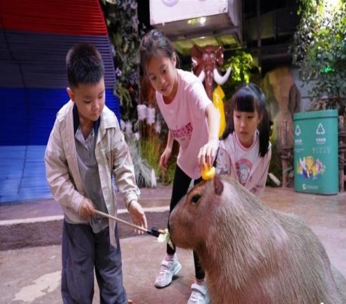 運(yùn)動員免費(fèi)！正佳極地海洋世界送出多項福利迎全運(yùn)會