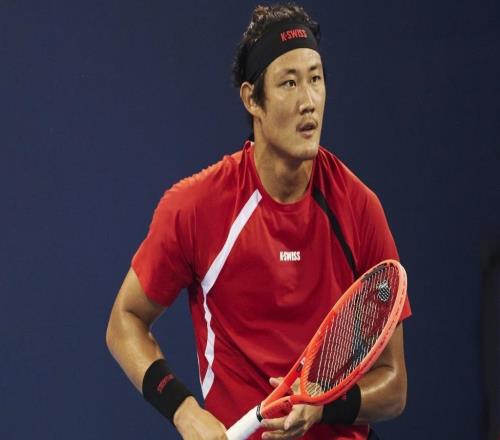 辉煌之后遭遇一年低谷，中国网球明年重新向高峰攀登