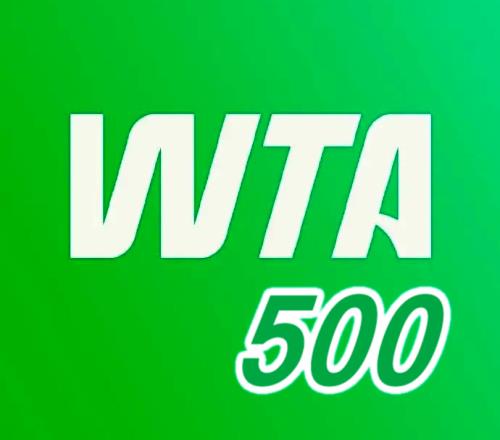 張帥重返500賽四強，袁悅不敵美國人，梅總橫掃FAA與荷一哥爭冠