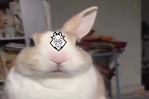 Bin語從句已學(xué)會G2官博發(fā)文：過年偷偷比賽卷死你們