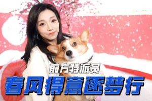 松琪介紹西安WE主場：春風(fēng)得意逐夢行！前方吉祥物小鳥獸出沒