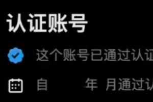 歐盟重罰1.2億歐元！馬斯克旗下X平臺“藍標”認證機制將整改