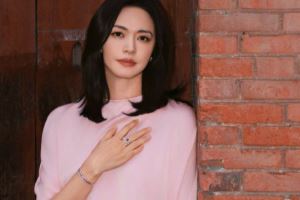 姚晨和丈夫發(fā)布聯(lián)合聲明官宣離婚：多年前結(jié)束婚姻關(guān)系