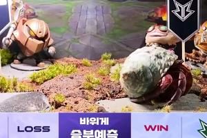 不如蝈蝈！LCK策划比赛预测蟹老板看好DNF和BRO全部猜错