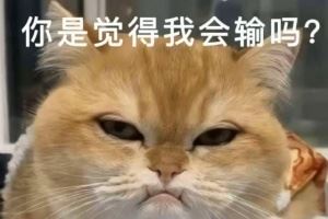 跟經(jīng)理對(duì)噴了爆料人談Bin疑似離隊(duì)：好像很僵硬不是領(lǐng)隊(duì)教練選手