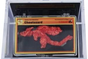 一小塊玉米零食賣60萬！酷似噴火龍創(chuàng)下吉尼斯記錄