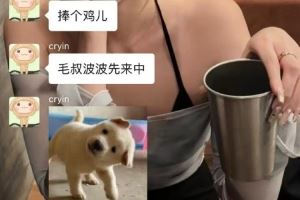 鍋盔分享烏茲杯群聊消息：老頭們的復(fù)盤(pán)來(lái)襲