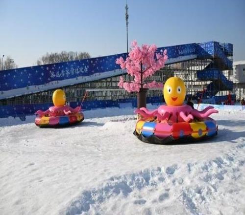 十年堅守，冰雪筑夢！15萬人次殘疾人共享冰雪盛宴