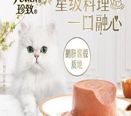 汪星人集合！崇悦同萌欢乐跑赛事规程发布，3公里萌趣之旅等你冲！