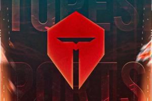 離譜出裝！TES官方發(fā)布公告：naiyou疑似存在影響公平性的不正當行為