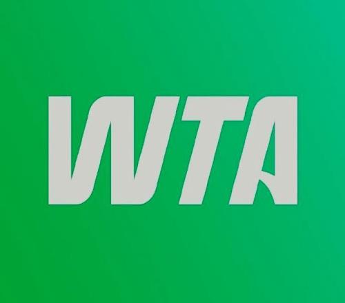 WTA牽手奔馳，瓦舍羅獲突破球員獎，門希克退總決賽，張帥又贏球