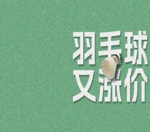 羽毛球又又又漲價(jià)，你的錢包還扛得住嗎