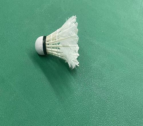 【深度】羽毛球的錢，為什么這么難賺