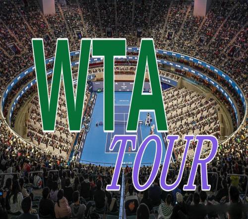 鄭欽文遭逆轉(zhuǎn)輸發(fā)球奧胖進(jìn)八強(qiáng)搶紀(jì)錄，布瘋勝hubi，弗里茨晉級(jí)