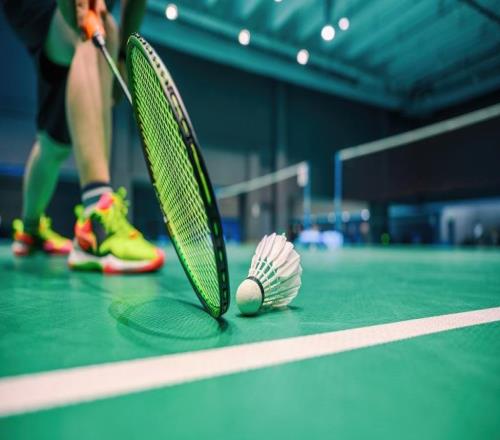 原料價(jià)格回落疊加人造球升級(jí)，羽毛球漲價(jià)潮終于止步回調(diào)