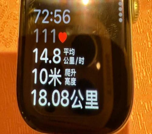 Elk深夜曬出上海騎行照片：72分鐘騎行18公里Shadow現(xiàn)身評(píng)論區(qū)
