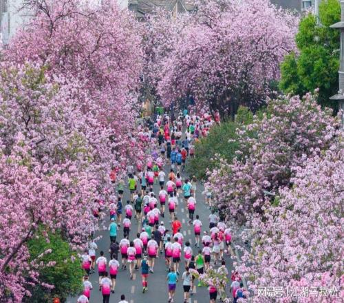 難得這樣破圈！柳州馬拉松后勁真大