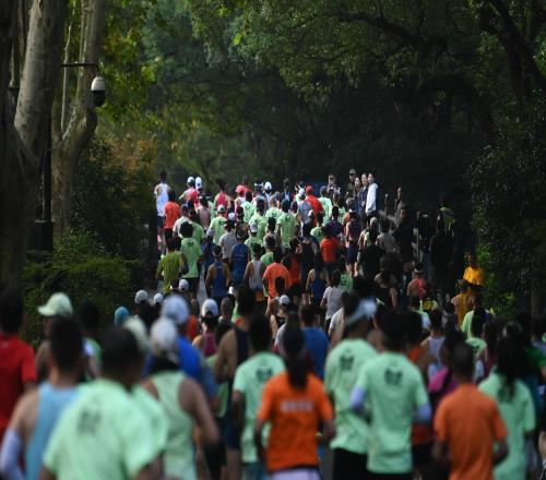 “最快女护士”风波过后：4名业余马拉松跑者的选择与挑战