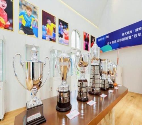 點燃城市冬奧氛圍！17把奧運火炬亮相香江1號