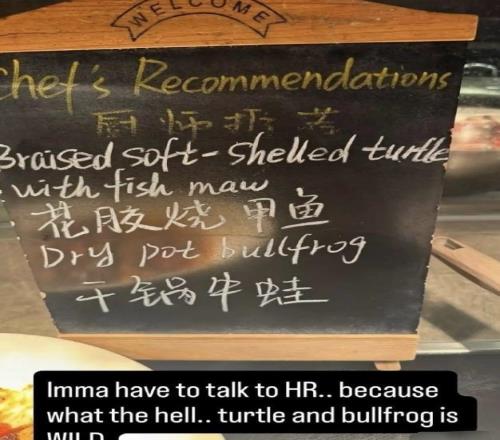 湯森德再次為去年在中國賽季的不當言論找借口