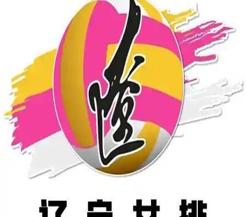 遼寧女排翻譯曝球隊欠薪半年，隊員們一點保障都沒有