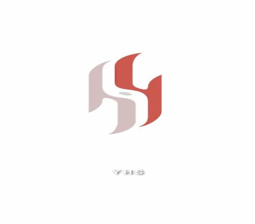 吧友看这Logo逼格高不杨瀚森解读个人专属Logo爱不释手