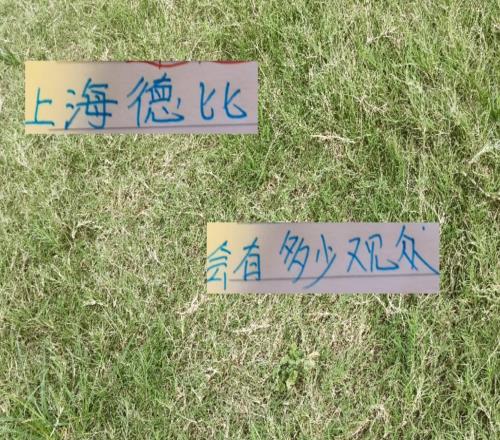 上海德比申花主场会有多少观众毕竟今年也是夺冠最好时候
