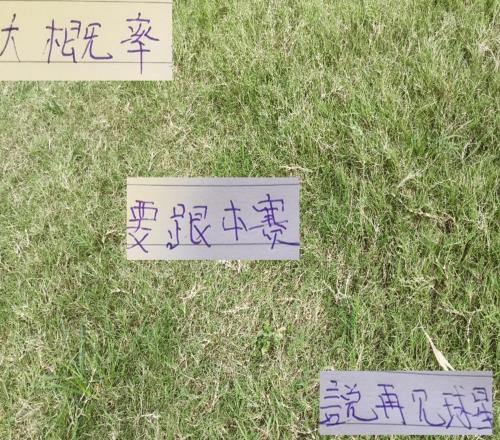 中超还剩十轮要跟本赛季说再见球星海港有武磊成都也有人