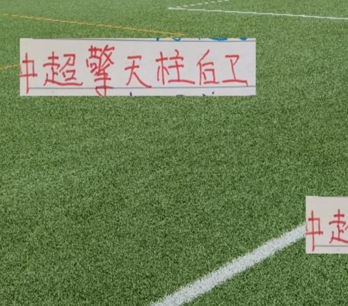 20轮下来中超前4擎天柱中卫最厉害还是提莫然后是申花朱辰杰