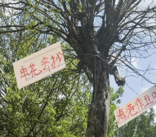 明年申花会抄海港古斯塔沃的作业吗冷处理法国外援阿马杜