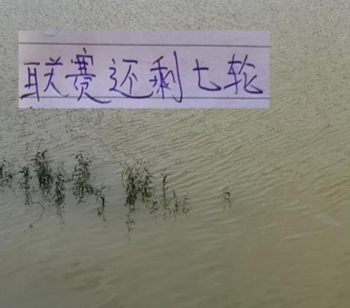 海港遇强不够猛联赛还剩7轮后面还有北京国安跟山东泰山